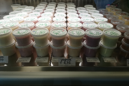 Yoghurt met abrikoos 200gr